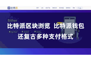 比特派区块浏览  比特派钱包还复古多种支付格式