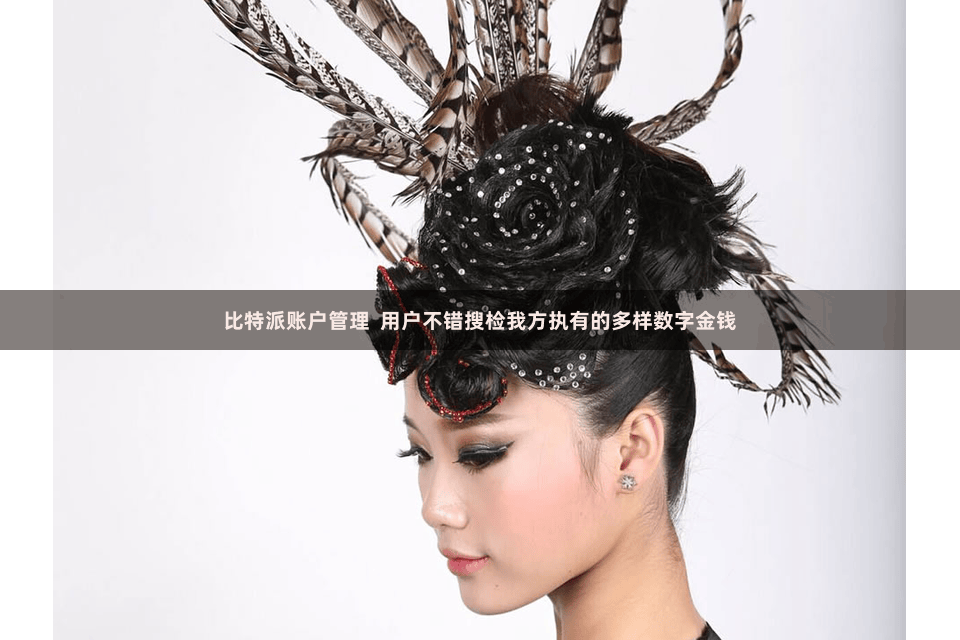 比特派账户管理 用户不错搜检我方执有的多样数字金钱