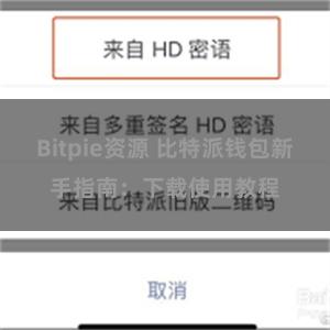 Bitpie资源 比特派钱包新手指南：下载使用教程