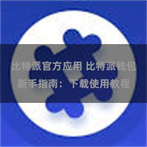 比特派官方应用 比特派钱包新手指南：下载使用教程