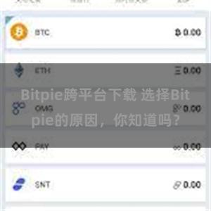 Bitpie跨平台下载 选择Bitpie的原因，你知道吗？