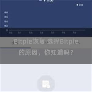 Bitpie恢复 选择Bitpie的原因，你知道吗？