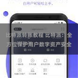 比特派转账教程 比特派：全方位保护用户数字资产安全