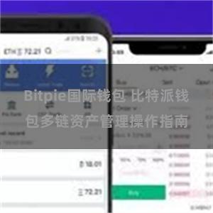 Bitpie国际钱包 比特派钱包多链资产管理操作指南