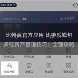 比特派官方应用 比特派钱包多链资产管理技巧：全面攻略