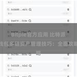 Bitpie官方应用 比特派钱包多链资产管理技巧：全面攻略