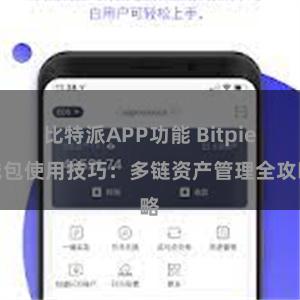 比特派APP功能 Bitpie钱包使用技巧：多链资产管理全攻略