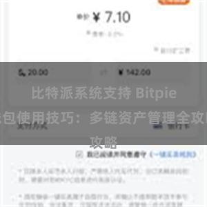 比特派系统支持 Bitpie钱包使用技巧：多链资产管理全攻略