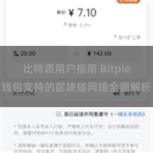 比特派用户指南 Bitpie钱包支持的区块链网络全面解析