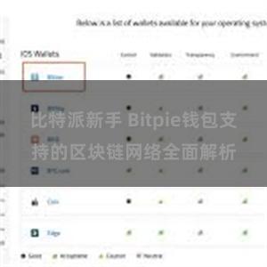 比特派新手 Bitpie钱包支持的区块链网络全面解析