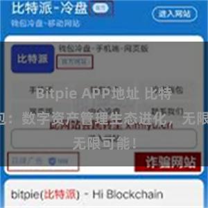 Bitpie APP地址 比特派钱包：数字资产管理生态进化，无限可能！