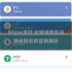 Bitpie支付 比特派钱包与其他钱包的区别解析