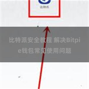 比特派安全教程 解决Bitpie钱包常见使用问题