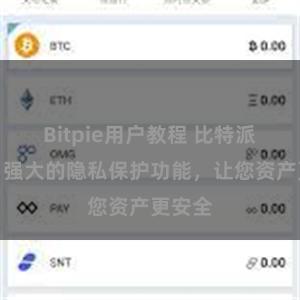 Bitpie用户教程 比特派钱包：强大的隐私保护功能，让您资产更安全