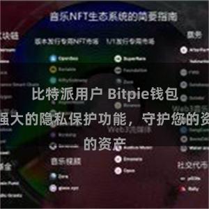 比特派用户 Bitpie钱包：强大的隐私保护功能，守护您的资产