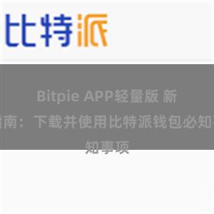 Bitpie APP轻量版 新手指南：下载并使用比特派钱包必知事项