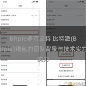 Bitpie多币支持 比特派(Bitpie)钱包的团队背景与技术实力