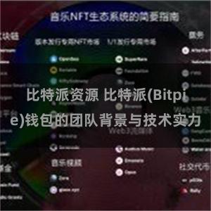 比特派资源 比特派(Bitpie)钱包的团队背景与技术实力