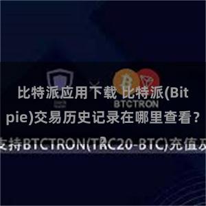 比特派应用下载 比特派(Bitpie)交易历史记录在哪里查看？