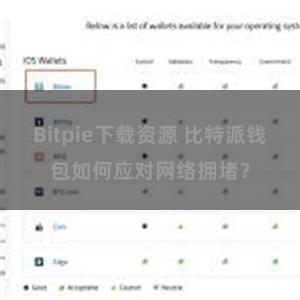 Bitpie下载资源 比特派钱包如何应对网络拥堵？