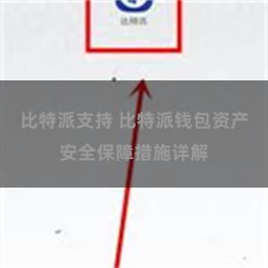 比特派支持 比特派钱包资产安全保障措施详解