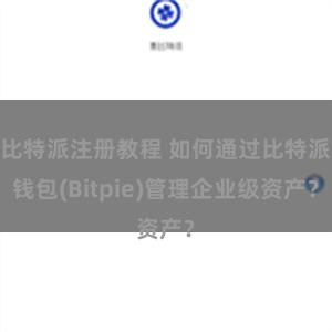 比特派注册教程 如何通过比特派钱包(Bitpie)管理企业级资产？