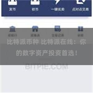 比特派币种 比特派在线：你的数字资产投资首选！