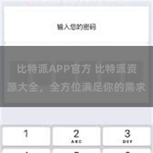 比特派APP官方 比特派资源大全，全方位满足你的需求