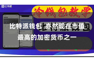 比特派钱包  亦然现在市值最高的加密货币之一