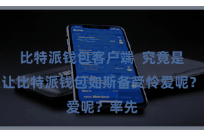比特派钱包客户端  究竟是什么让比特派钱包如斯备受怜爱呢？率先